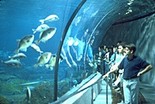 Барселонский аквариум, Барселона
